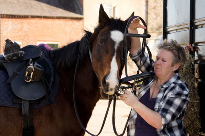 Train Your Horse to Stand Still for Grooming and Tacking